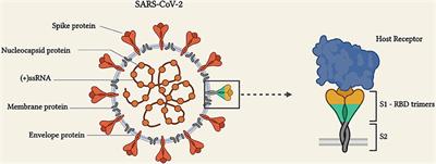 Is Nanotechnology Helping in the Fight Against COVID-19?